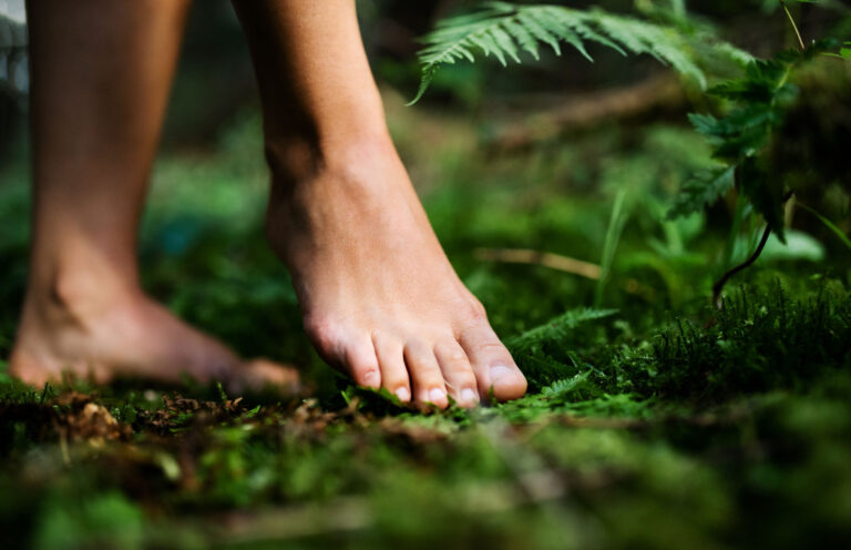 Earthing/Grounding